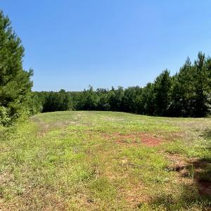 Photo #29 of SOLD property in 4118 Burkeville Road, Victoria, VA 227.8 acres