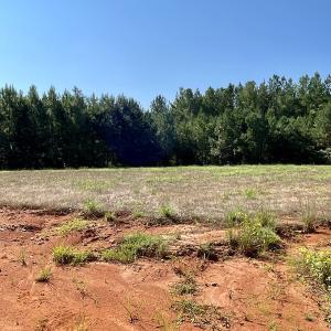 Photo #30 of SOLD property in 4118 Burkeville Road, Victoria, VA 227.8 acres