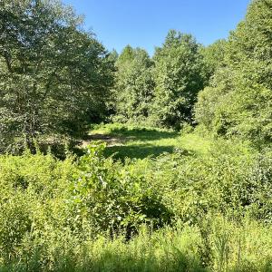 Photo #31 of SOLD property in 4118 Burkeville Road, Victoria, VA 227.8 acres