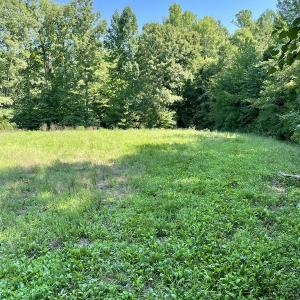 Photo #32 of SOLD property in 4118 Burkeville Road, Victoria, VA 227.8 acres