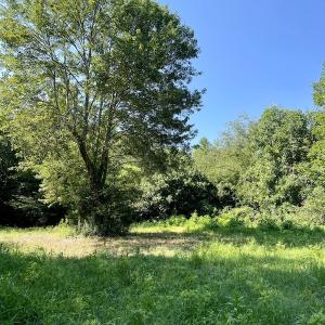 Photo #33 of SOLD property in 4118 Burkeville Road, Victoria, VA 227.8 acres