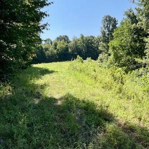 Photo #34 of SOLD property in 4118 Burkeville Road, Victoria, VA 227.8 acres