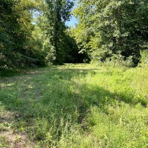 Photo #35 of SOLD property in 4118 Burkeville Road, Victoria, VA 227.8 acres
