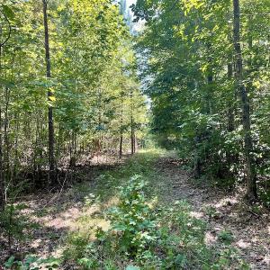 Photo #40 of SOLD property in 4118 Burkeville Road, Victoria, VA 227.8 acres