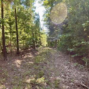 Photo #41 of SOLD property in 4118 Burkeville Road, Victoria, VA 227.8 acres