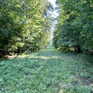 Photo #42 of SOLD property in 4118 Burkeville Road, Victoria, VA 227.8 acres
