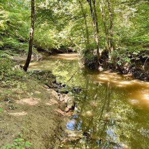 Photo #43 of SOLD property in 4118 Burkeville Road, Victoria, VA 227.8 acres