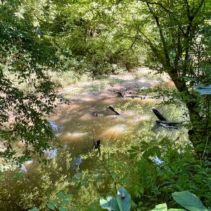 Photo #44 of SOLD property in 4118 Burkeville Road, Victoria, VA 227.8 acres