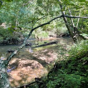 Photo #45 of SOLD property in 4118 Burkeville Road, Victoria, VA 227.8 acres