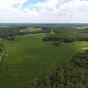 Photo #2 of SOLD property in NC 20 Hwy, Saint Pauls, NC 207.6 acres