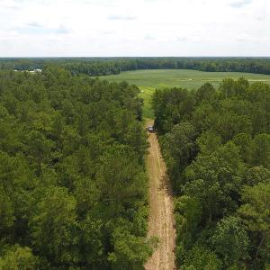 Photo #12 of SOLD property in NC 20 Hwy, Saint Pauls, NC 207.6 acres