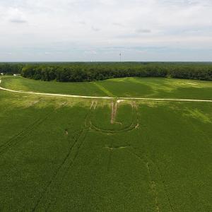 Photo #14 of SOLD property in NC 20 Hwy, Saint Pauls, NC 207.6 acres