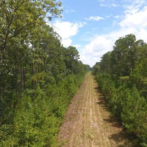 Photo #3 of SOLD property in NC 20 Hwy, Saint Pauls, NC 207.6 acres