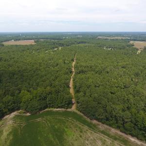 Photo #4 of SOLD property in NC 20 Hwy, Saint Pauls, NC 207.6 acres
