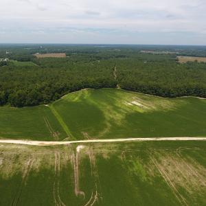 Photo #5 of SOLD property in NC 20 Hwy, Saint Pauls, NC 207.6 acres