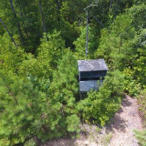 Photo #6 of SOLD property in NC 20 Hwy, Saint Pauls, NC 207.6 acres