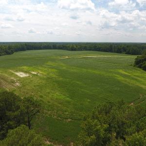 Photo #7 of SOLD property in NC 20 Hwy, Saint Pauls, NC 207.6 acres