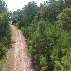 Photo #8 of SOLD property in NC 20 Hwy, Saint Pauls, NC 207.6 acres