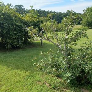Photo #17 of 143 Clark Road, Newport, NC 19.1 acres