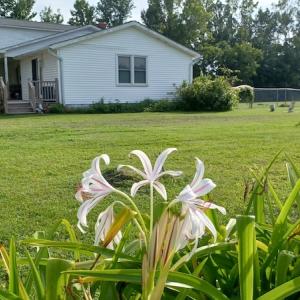 Photo #25 of 143 Clark Road, Newport, NC 19.1 acres