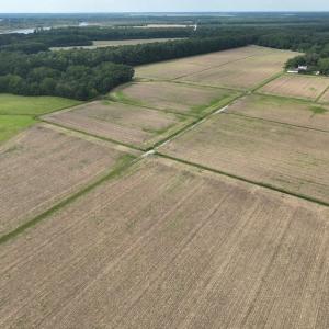 Photo #13 of Off Winfield Lane, Pinetown, NC 1.3 acres