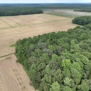 Photo #14 of Off Winfield Lane, Pinetown, NC 1.3 acres