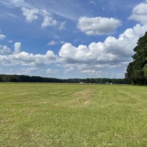Photo #3 of Off Winfield Lane, Pinetown, NC 1.3 acres