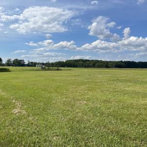 Photo #4 of Off Winfield Lane, Pinetown, NC 1.3 acres