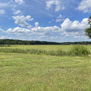 Photo #5 of Off Winfield Lane, Pinetown, NC 1.3 acres