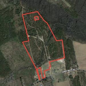 Photo #1 of SOLD property in 653 Jones White Road, Roper, NC 46.8 acres