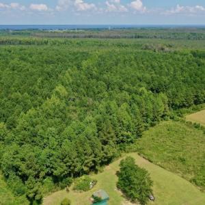Photo #4 of SOLD property in 653 Jones White Road, Roper, NC 46.8 acres