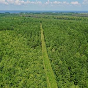 Photo #5 of SOLD property in 653 Jones White Road, Roper, NC 46.8 acres