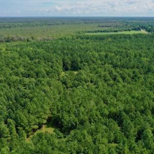 Photo #7 of SOLD property in 653 Jones White Road, Roper, NC 46.8 acres