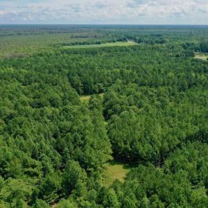 Photo #8 of SOLD property in 653 Jones White Road, Roper, NC 46.8 acres