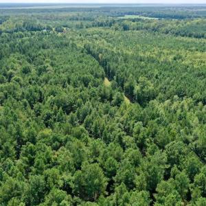Photo #10 of SOLD property in 653 Jones White Road, Roper, NC 46.8 acres