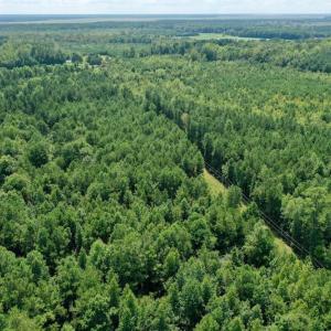 Photo #11 of SOLD property in 653 Jones White Road, Roper, NC 46.8 acres