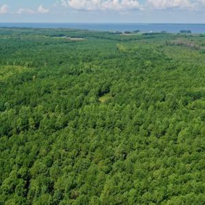 Photo #13 of SOLD property in 653 Jones White Road, Roper, NC 46.8 acres