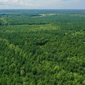 Photo #15 of SOLD property in 653 Jones White Road, Roper, NC 46.8 acres
