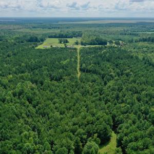 Photo #18 of SOLD property in 653 Jones White Road, Roper, NC 46.8 acres