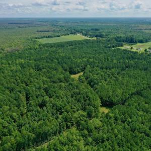 Photo #20 of SOLD property in 653 Jones White Road, Roper, NC 46.8 acres
