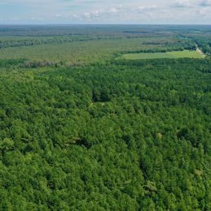 Photo #21 of SOLD property in 653 Jones White Road, Roper, NC 46.8 acres