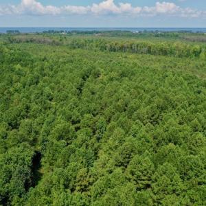 Photo #23 of SOLD property in 653 Jones White Road, Roper, NC 46.8 acres