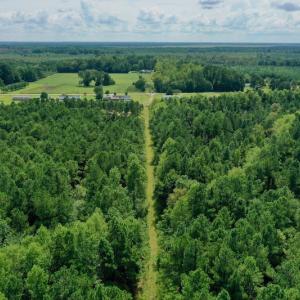 Photo #25 of SOLD property in 653 Jones White Road, Roper, NC 46.8 acres