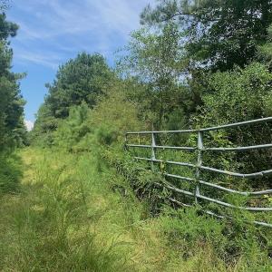 Photo #28 of SOLD property in 653 Jones White Road, Roper, NC 46.8 acres