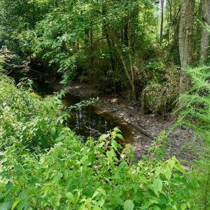 Photo #32 of SOLD property in 653 Jones White Road, Roper, NC 46.8 acres
