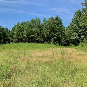 Photo #33 of SOLD property in 653 Jones White Road, Roper, NC 46.8 acres
