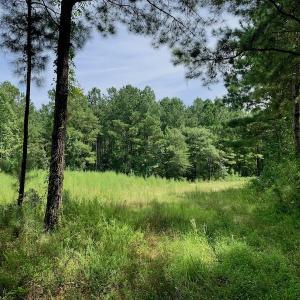 Photo #35 of SOLD property in 653 Jones White Road, Roper, NC 46.8 acres