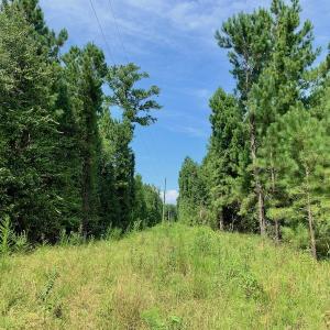 Photo #38 of SOLD property in 653 Jones White Road, Roper, NC 46.8 acres
