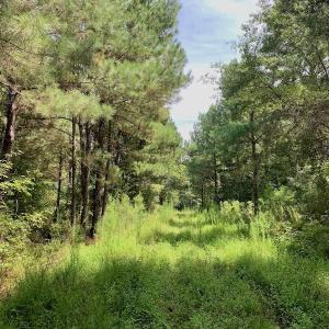 Photo #41 of SOLD property in 653 Jones White Road, Roper, NC 46.8 acres