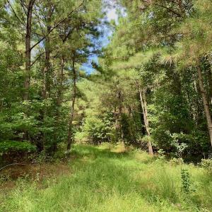 Photo #42 of SOLD property in 653 Jones White Road, Roper, NC 46.8 acres